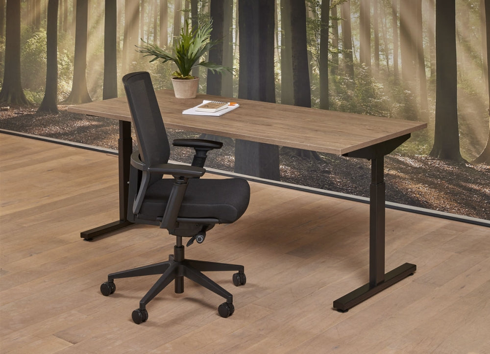 Bureau Easy | Hoogte Verstelbaar | 62 - 85 cm | Leverbaar in Diverse Kleuren en Afmetingen