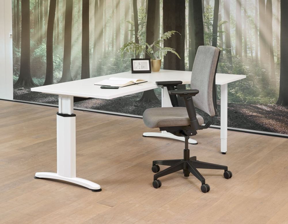Wingbureau Work | Hoogte Verstelbaar | 62 - 85 cm | Leverbaar in Diverse Kleuren en Afmetingen