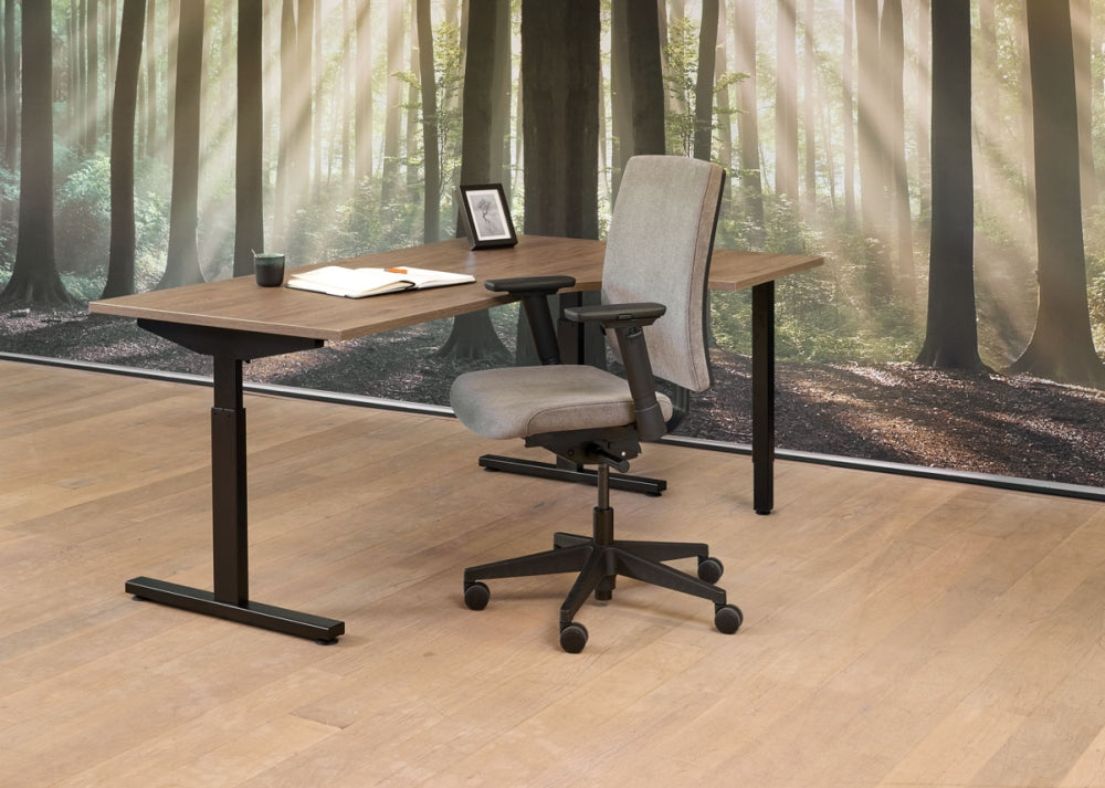 Wingbureau Easy | Hoogte Verstelbaar | 62 - 85 cm | Leverbaar in Diverse Kleuren en Afmetingen
