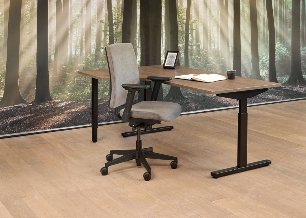 Wingbureau Easy | Hoogte Verstelbaar | 62 - 85 cm | Leverbaar in Diverse Kleuren en Afmetingen