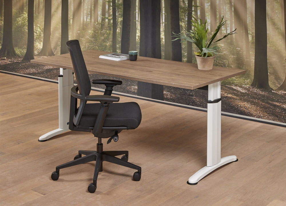 Bureau Work | Hoogte Verstelbaar | 62 - 85 cm | Leverbaar in Diverse Kleuren en Afmetingen