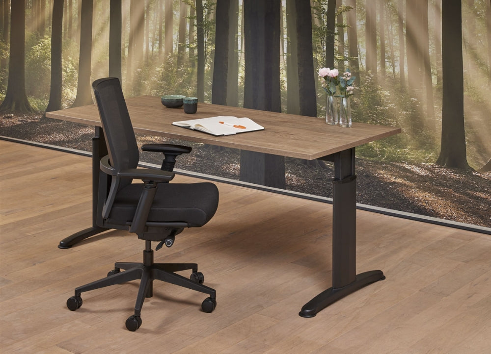 Bureau Work | Hoogte Verstelbaar | 62 - 85 cm | Leverbaar in Diverse Kleuren en Afmetingen