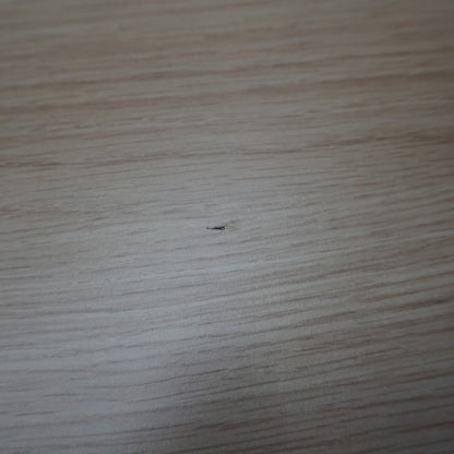 Mara Klaptafel Verrijdbaar | 320 x 80 cm | Midden eiken | Kabeldoorvoer