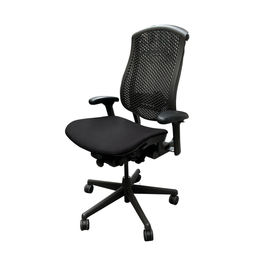 Herman Miller Celle Bureaustoel | Ergonomisch | Zwart / Graphite