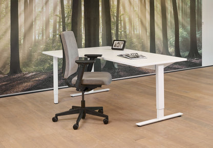 Wingbureau Teezz | Hoogte Verstelbaar | 62 - 85 cm | Leverbaar in Diverse Kleuren en Afmetingen