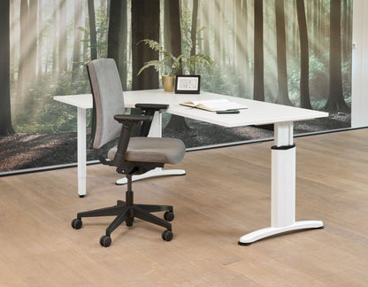 Wingbureau Work | Hoogte Verstelbaar | 62 - 85 cm | Leverbaar in Diverse Kleuren en Afmetingen