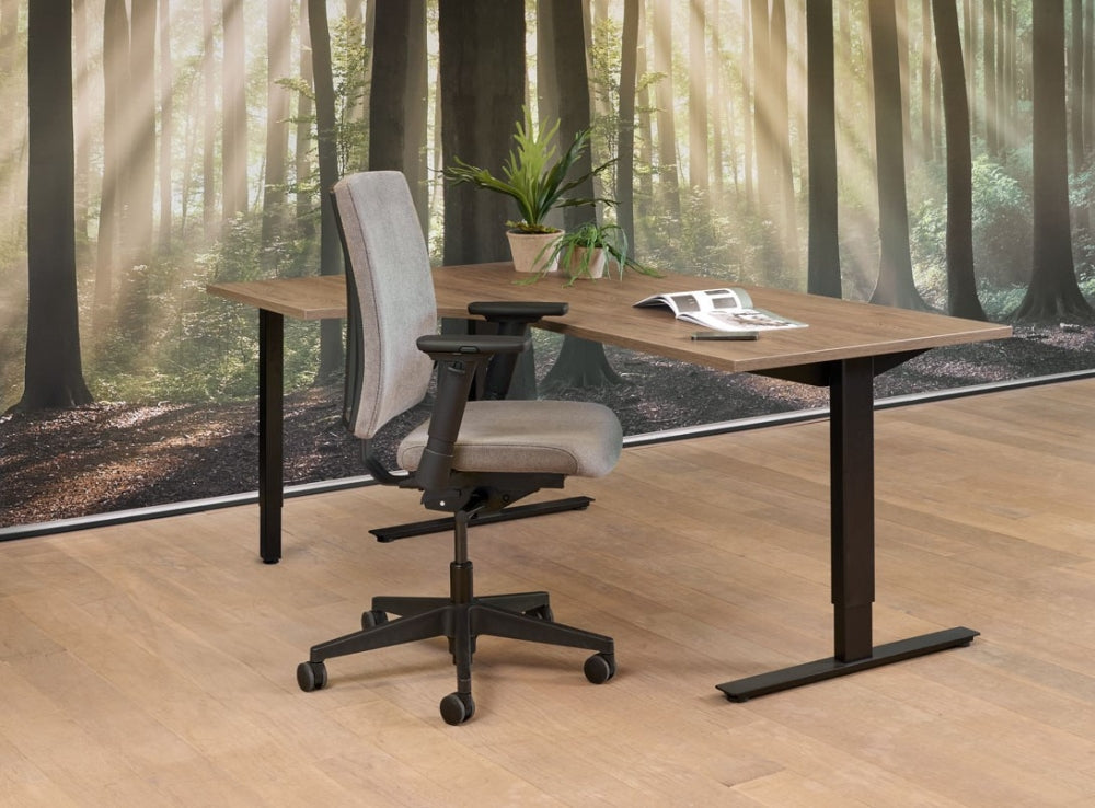 Wingbureau Teezz | Hoogte Verstelbaar | 62 - 85 cm | Leverbaar in Diverse Kleuren en Afmetingen